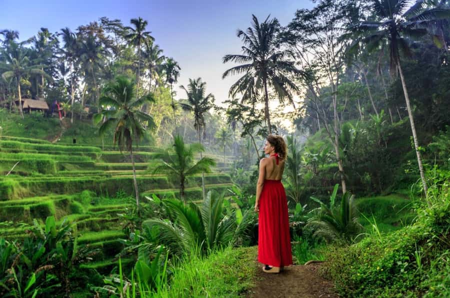 Ubud: Floating Breakfast, Jungle Swing & Spa Romantic Tour - The jungle swing: big views, real stairs