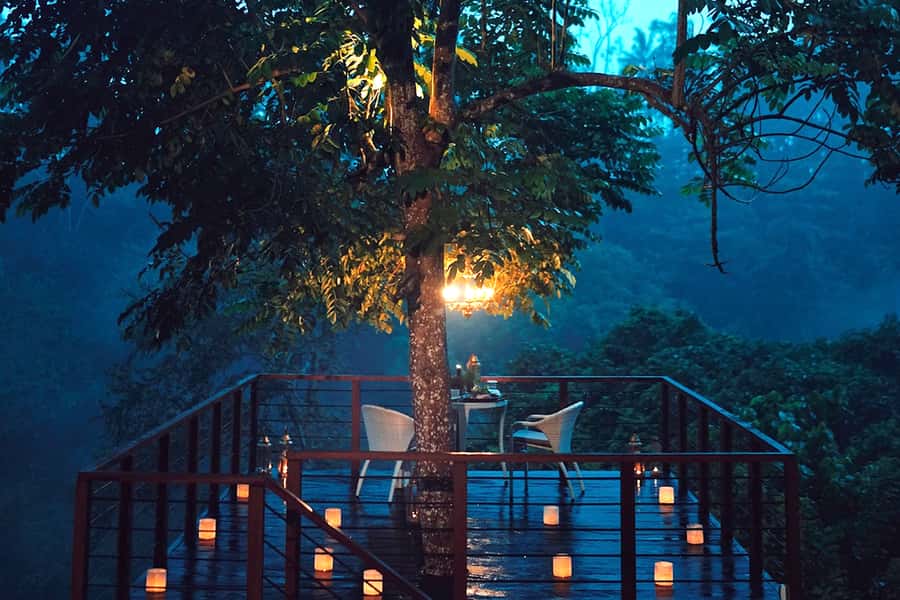 Ubud: Romantic Dinner on a Forest Tree Deck - What the private tree deck is really like