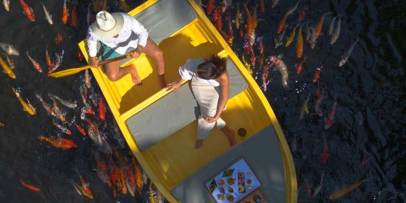 Ubud: The Original Koi Fish Yellow Boat Photo Moment - Timing and the sunset question