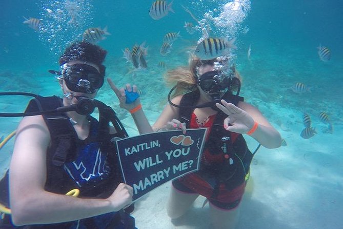 Underwater Marriage Proposal - The custom sign carries the message