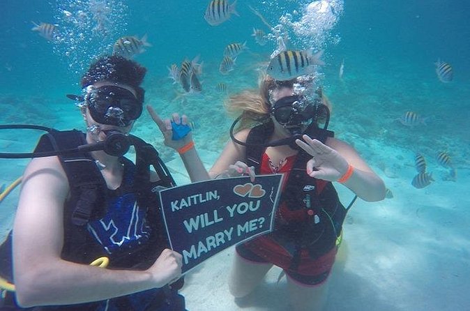 Underwater Marriage Proposal - What the SeaPro team adds