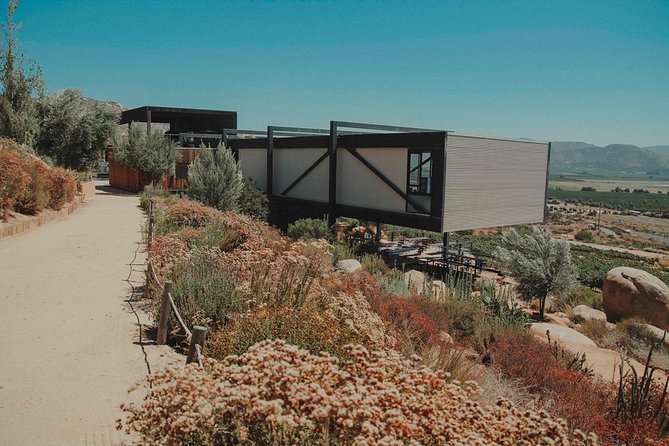 Valle de Guadalupe Couples Wine Tour - Vinos Pijoan offers the most intimate finish