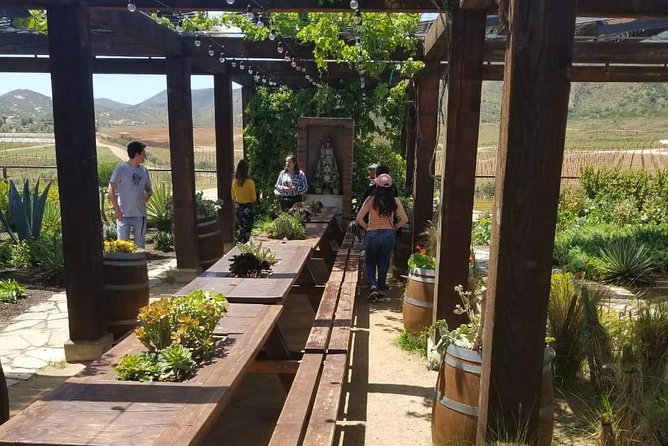 Valle de Guadalupe Couples Wine Tour - The strongest reason to book is the guide