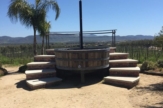 Valle de Guadalupe Couples Wine Tour - Who will enjoy this six-hour outing most
