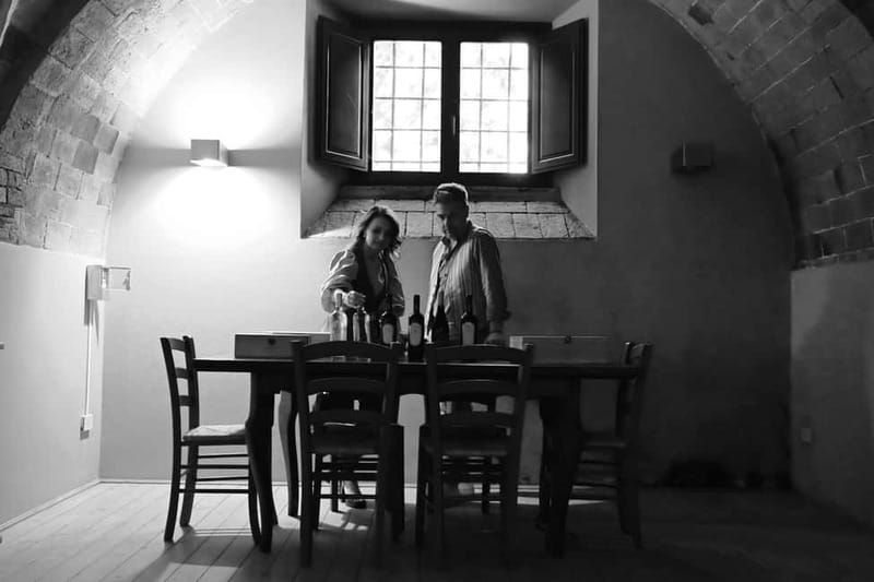 Wine tasting in a romantic castle with archaeologist guide - Key points to know before booking