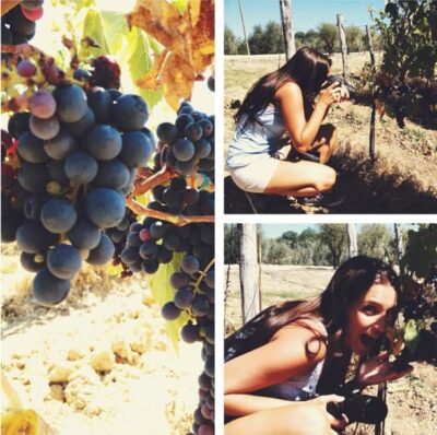 YOUR HONEYMOON IN TUSCANY: Private Chianti Wine Tasting Tour