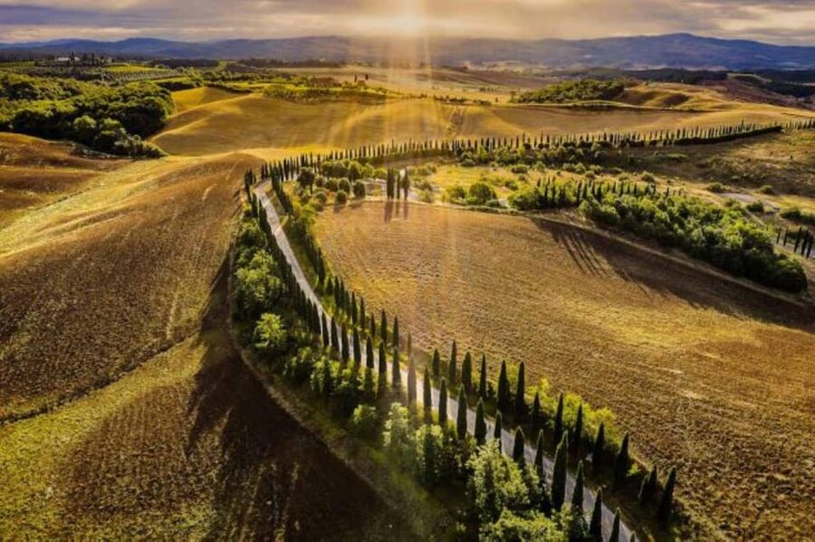 YOUR HONEYMOON IN TUSCANY: Private Chianti Wine Tasting Tour - Booking, Timing, and Value