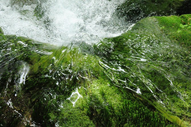 Zagreb airport or Zagreb to Split via Plitvice lakes for singles or couples - Who should book this experience